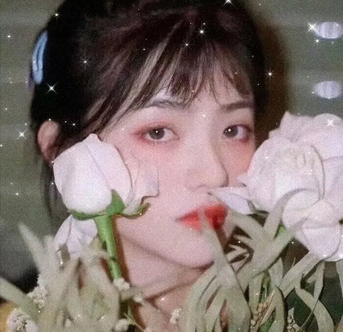你的情歌